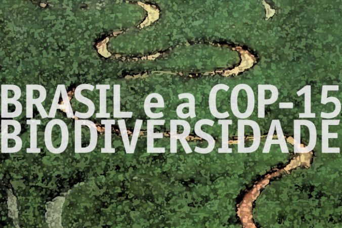 SEMINÁRIOS CEBRAP SUSTENTABILIDADE – O BRASIL E A COP-15 BIODIVERSIDADE