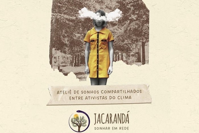 Jacarandá – sonhar em rede